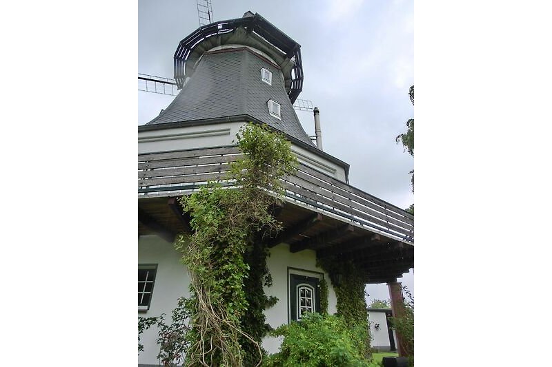 Hauptansicht