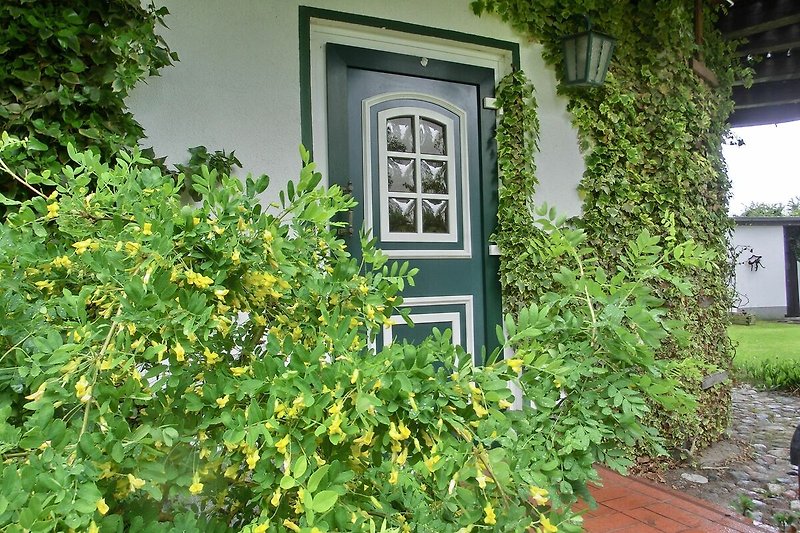 Fassade / Eingang