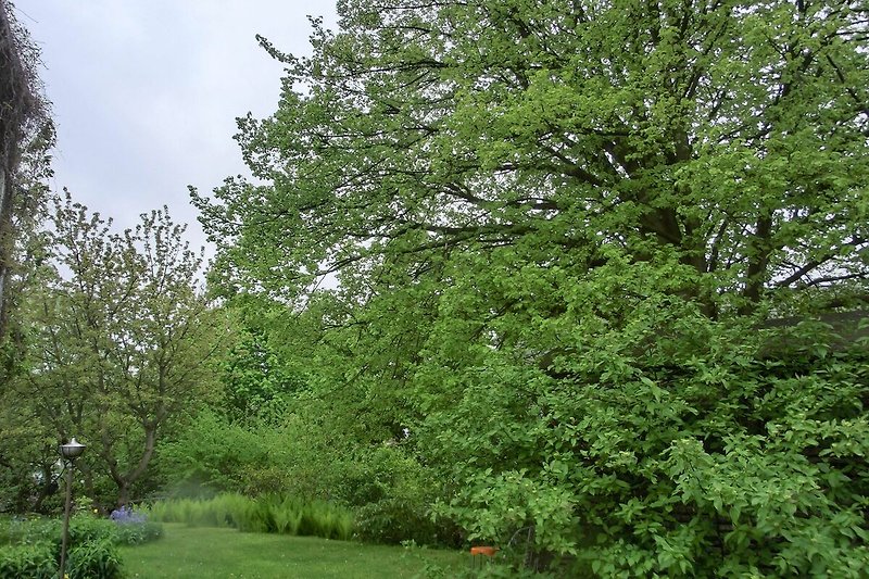 Gartenblick