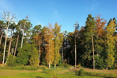 Ferienwohnung KWi 09 OG "Ostseezauber"