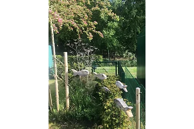 Ferienwohnung KWi 36 EG "Rauchschwalbe"