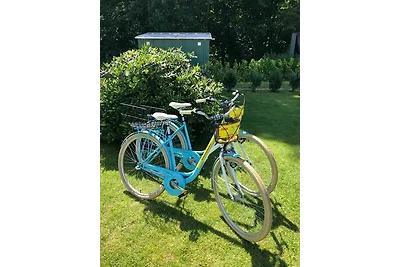 Ferienwohnung KWi 37 EG - "Ostsee Igel"