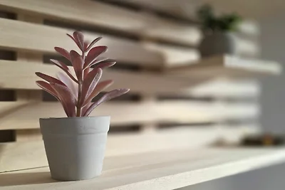 Ferienwohnung KWi 34 EG "Küstenwald-Igel"