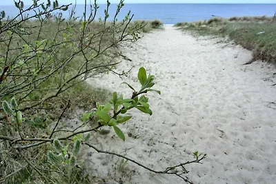 Ferienwohnung ZU2 "Strandgucker"