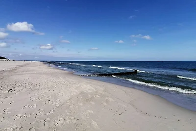 Ferienwohnung M31 "Die Welle"