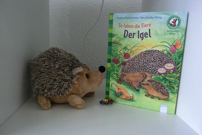Ferienwohnung KWi 87 OG "Nordlicht"