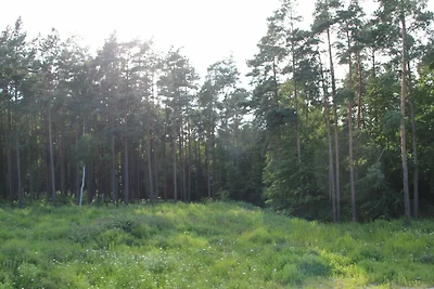 FEWO KWH 4 OG "Sonnenstübchen"