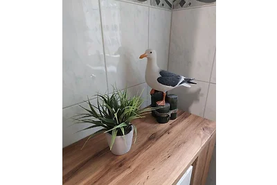Ferienwohnung T24