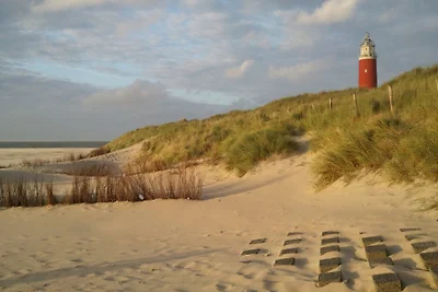 Texel 118