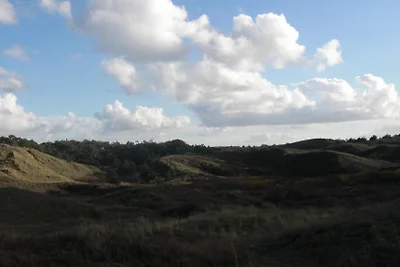 Texel 118