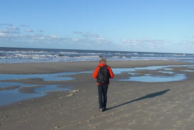 Texel 118