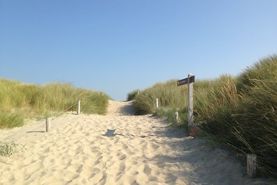 Texel 118