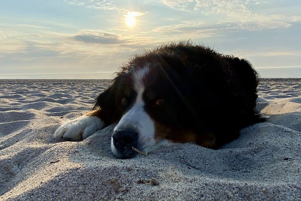 Ferienhaus Boiensdorf