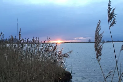 Ostseeperle