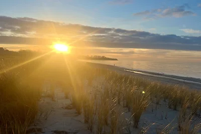 Ostseeperle