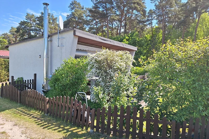 Sonniger Garten mit Waldblick