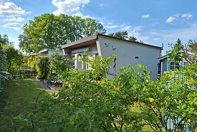 Ferienhaus Möwe
