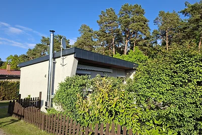 Ferienhaus Möwe