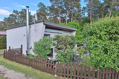 Ferienhaus Möwe