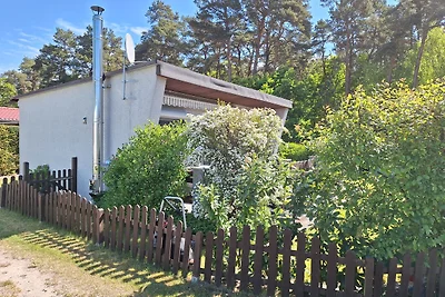 Ferienhaus Möwe