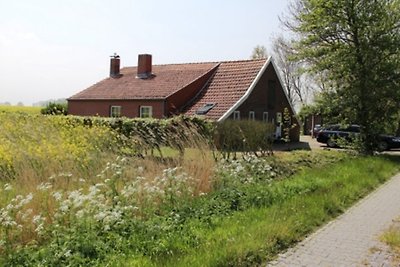 Ferienhaus Deichidylle, WLAN,