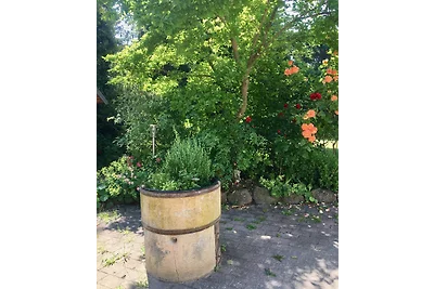 casa-vacanze-in-grebina