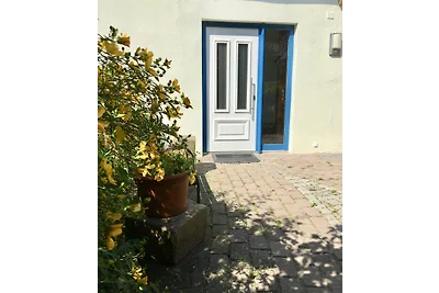 casa-vacanze-in-grebina