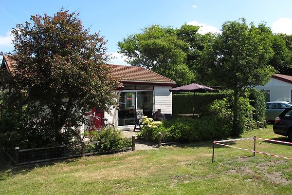 Ferienhaus Sint Maartenszee