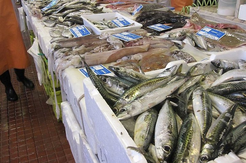 Aljezur-Fischmarkt