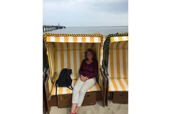 Mrs. M. Hornig Mrs. M. Hornig