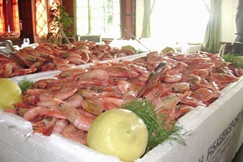Shrimp-buffet