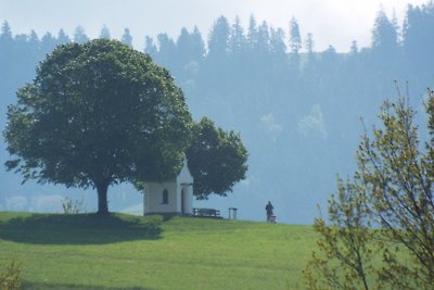 Vacanza da sogno-lungo poco tempo