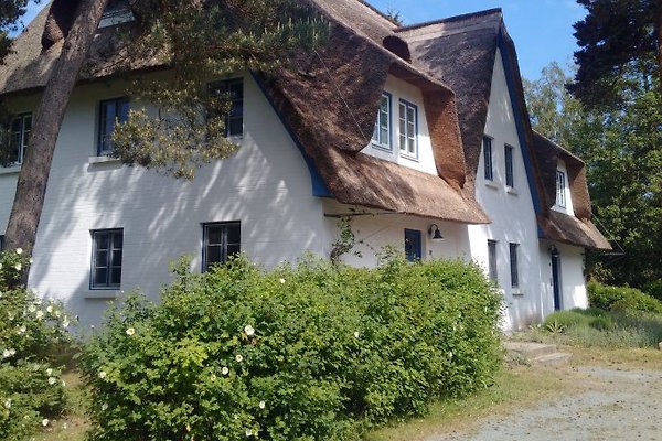 Ferienwohnung Zingst