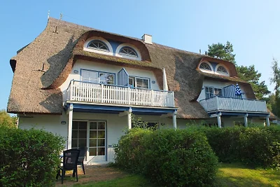 Strandlöper - Achtern Diek