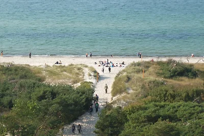 Strandlöper - Achtern Diek