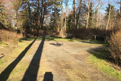 Strandlöper - Achtern Diek