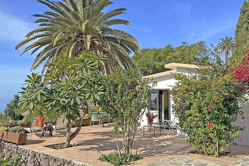 Ferienhaus Casa Pedregales mit Palmen und Meerblick