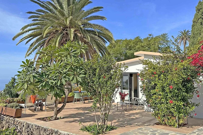 Vakantiehuis Casa Pedregales met palmbomen en uitzicht op zee