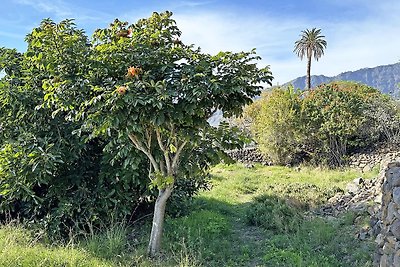 Casa Pedregales (lapalma.org)