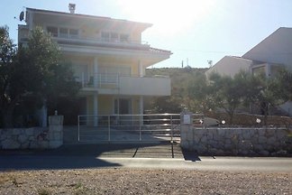 Villa Crna, Apt. grün