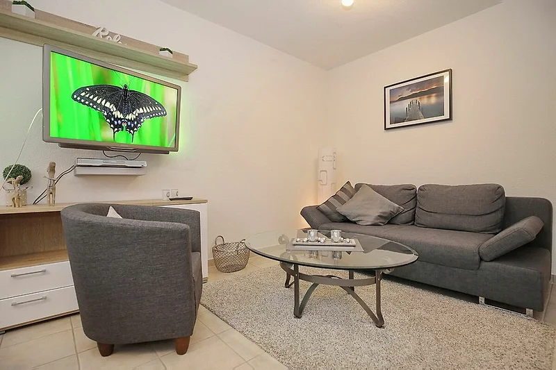 Wohnzimmer mit Schlafcouch und Fernseher