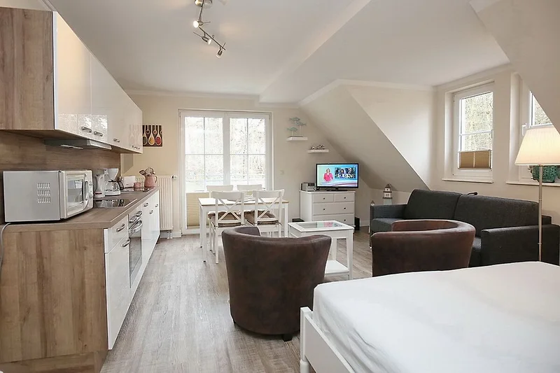 Wohnzimmer mit Schlafcouch und Essbereich