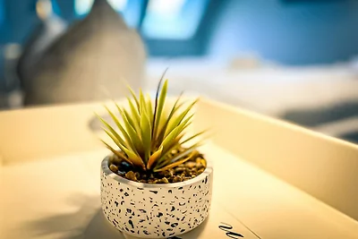 Baltischer Hof Wohnung 55