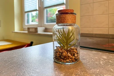 Gästehaus Karstadt Wohnung 02 - Gartenblick