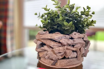 Gästehaus Karstadt Wohnung 02 - Gartenblick