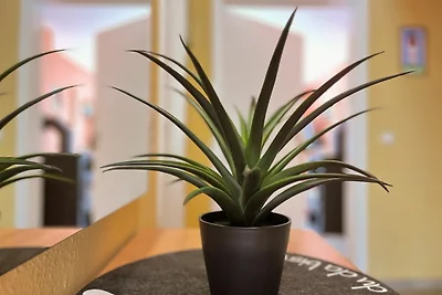 Urlauberdorf Haus 61a