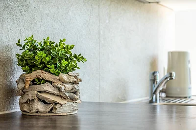 Promenadenvilla 03 Wohnung 11