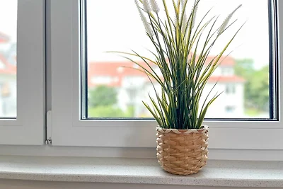 Appartamento Vacanza con famiglia Boltenhagen