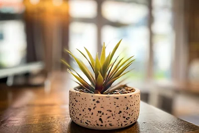 Baltischer Hof Wohnung 10