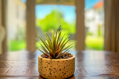 Baltischer Hof Wohnung 13